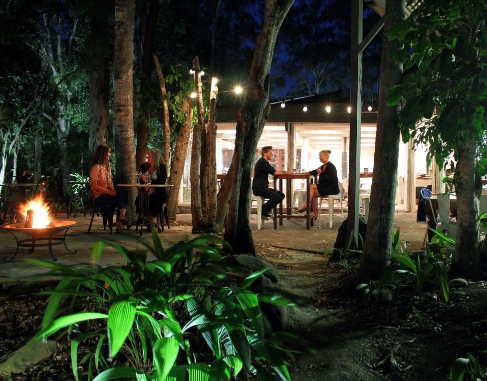 Dinner at Rainforest Restaurant