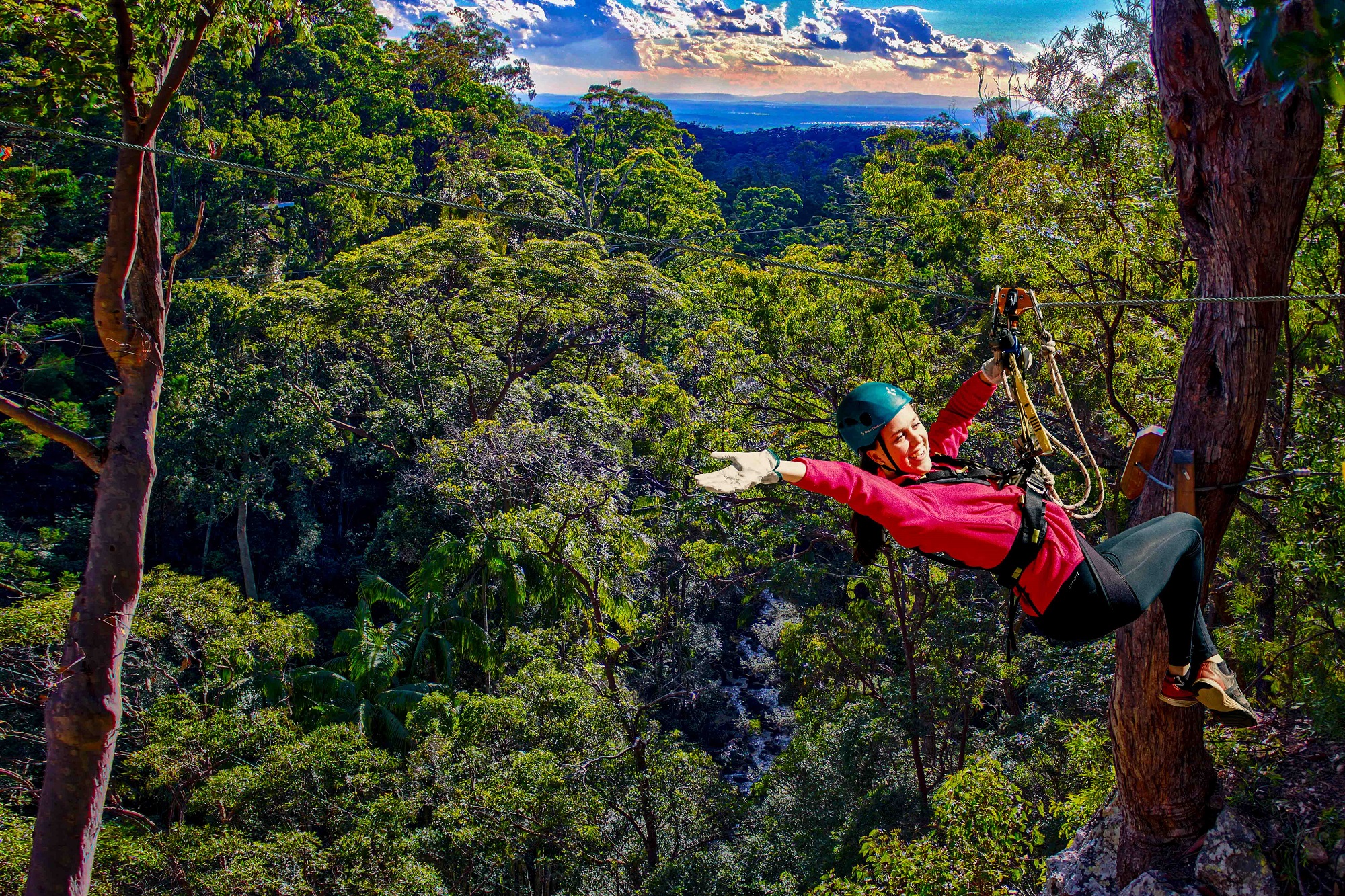 Banner background image (decoration only)