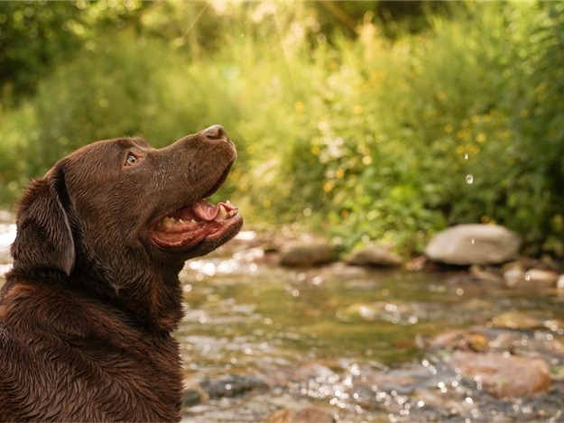 Popular Packages & Deals Tamborine Mountain Copy