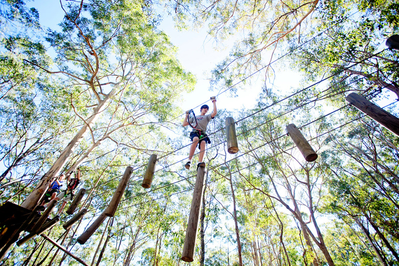 High Ropes Course