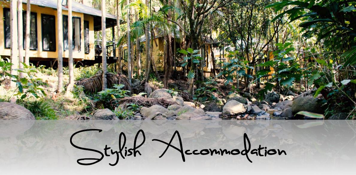 Conference_Accommodation